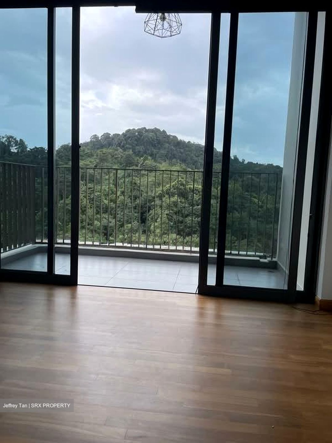 The Skywoods (D23), Condominium #526885331